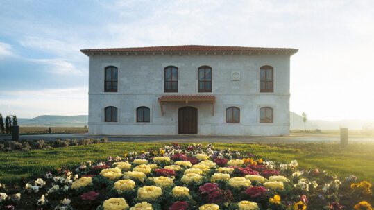 Maridatge de Vins i Tapes amb Bodega Peñafiel